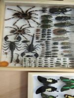 IMG 20201012 092923 1
