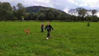IMG 20200902 153553