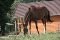 DSCF0655
