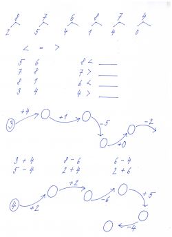PL 5 3.3. 001