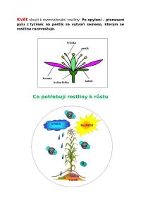 ZPV deleni rostlin 2 5.11. 2020