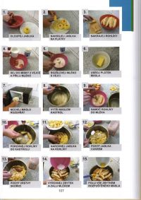 obed web 1