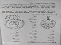 162265388 460270562065315 4991065878122638930 n