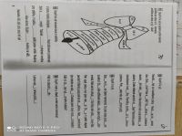 165026344 890668875108290 1100265610065967558 n